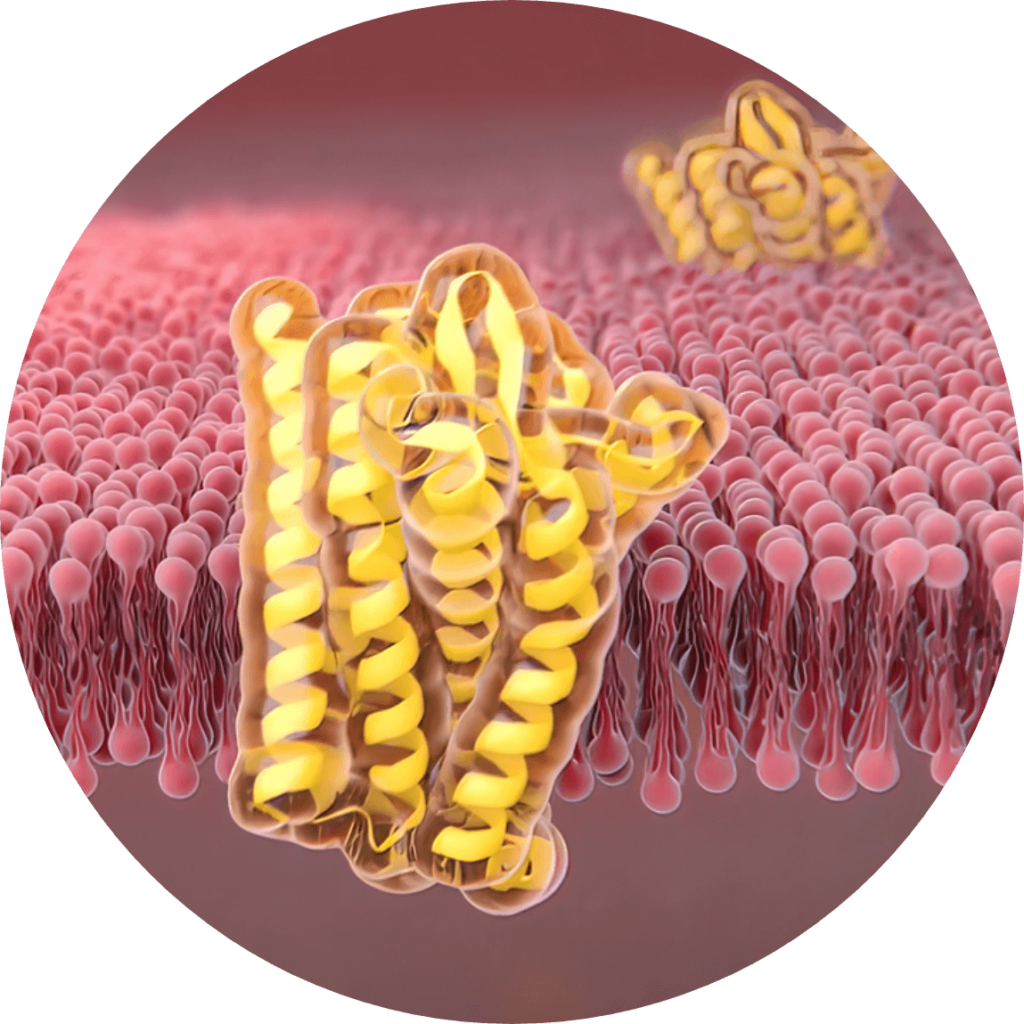 The science behind Sarcomatrix